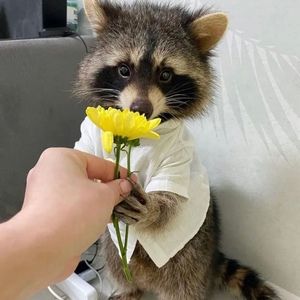 Meet your Posher, Lynn